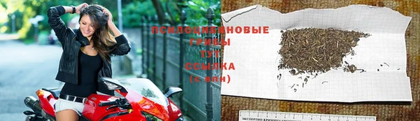соль ск Волосово