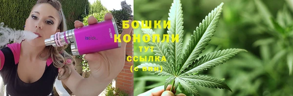 трава Елизово