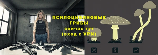 МДМА Вяземский