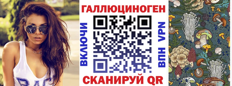Псилоцибиновые грибы Psilocybine cubensis  Купить закладки  Алупка 