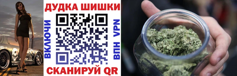 Купить где  Алупка  Каннабис план 